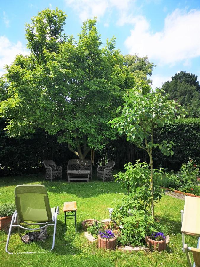Hawei In - Doppelhaushälfte Mit Garten Und Pool Zur Mitbenutzung * Wien