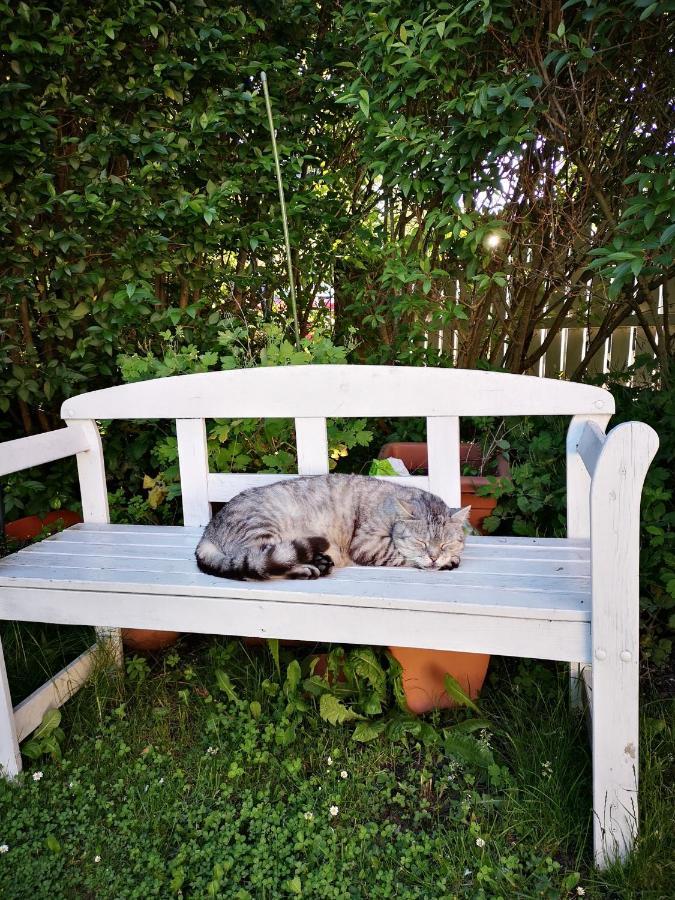 Hawei In - Doppelhaushälfte Mit Garten Und Pool Zur Mitbenutzung * Wien
